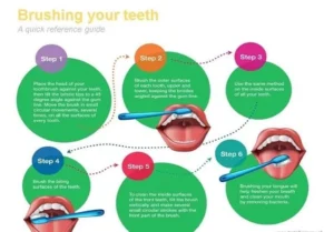 Infographic titled 'Brushing your teeth: A quick reference guide' shows six steps
