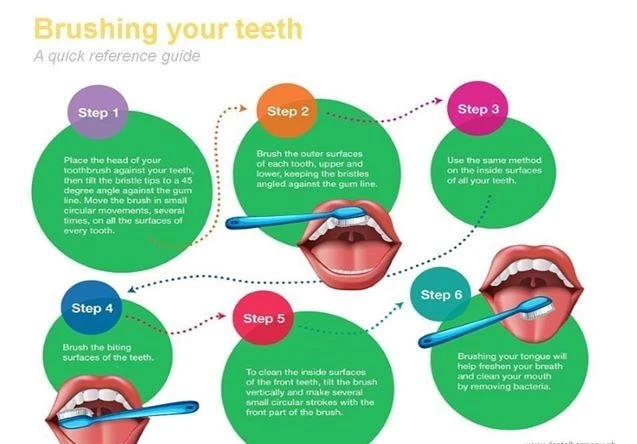 brush-teeth-steps Infographic titled 'Brushing your teeth: A quick reference guide' shows six steps