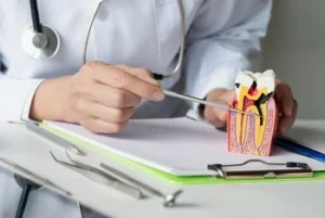 Tooth Cavity Pain decay A doctor in a white coat points to a tooth model with a metal tool, highlighting dental anatomy. Nearby, dental tools lie on a clipboard, conveying a clinical setting
